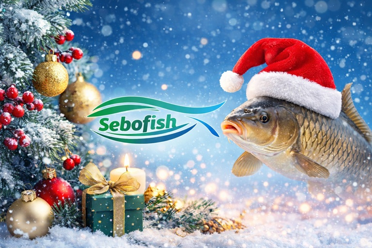Boldog Karácsonyt kíván a SEBO Fish Kft.